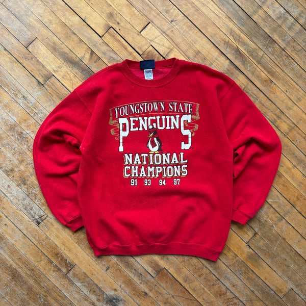 90's Youngstown Crewneck (M)